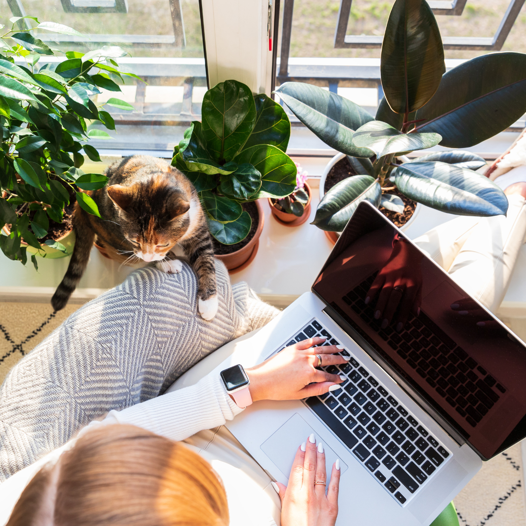 Overhead view of a person working on a laptop surrounded by lush green plants and a cat, representing creativity and the personalized approach of the Work in Progress package.